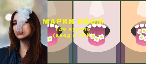 твердый Богородск
