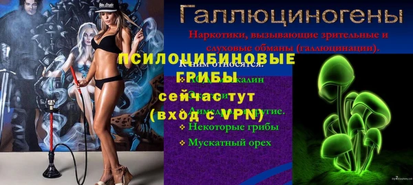 дмт Балахна