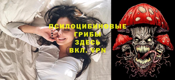 дмт Балахна