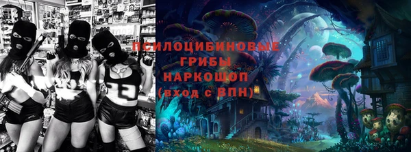 PSILOCYBIN Корсаков