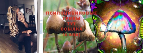 а пвп мука Бронницы